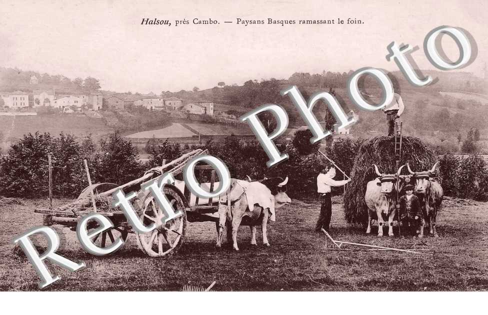 Paysans Basques ramassant le foin