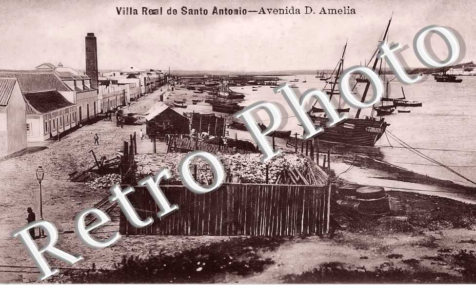 avenida D. Amelia