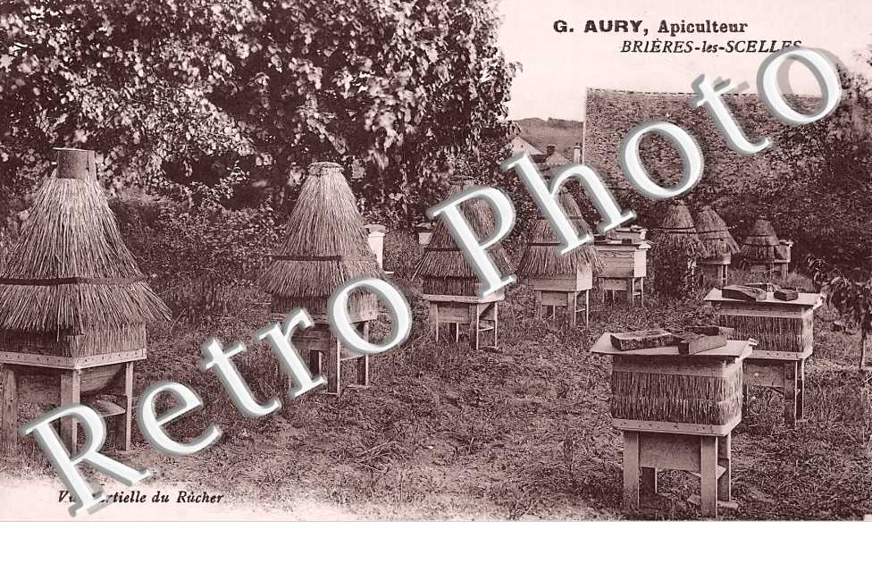 G. Aury, apiculteur. Vue partielle du rucher