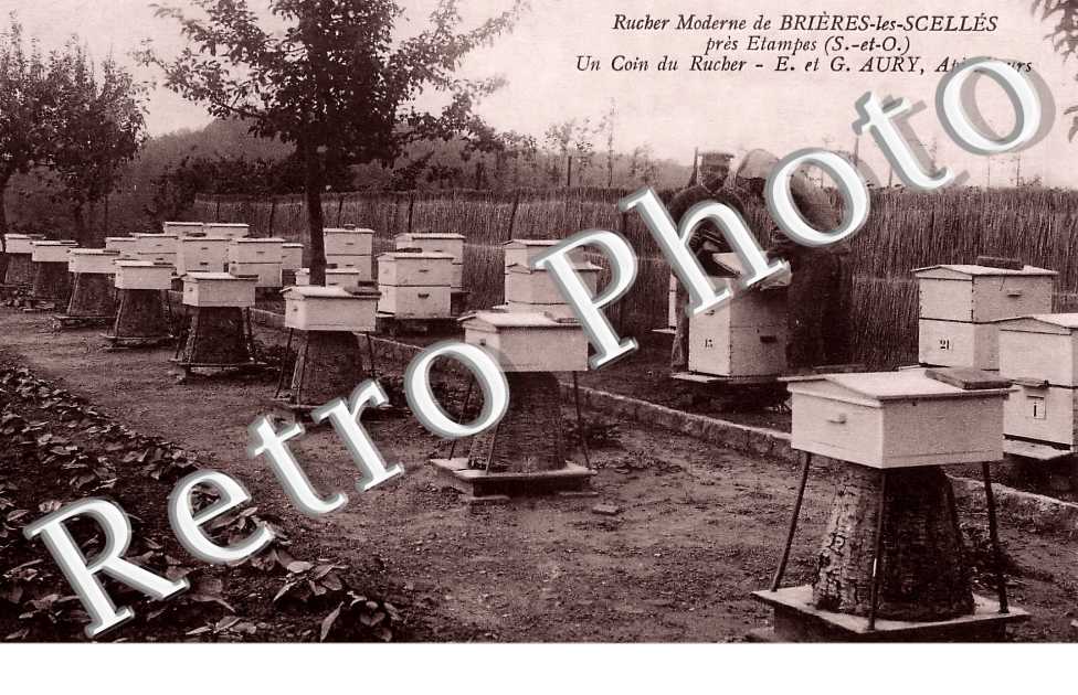 Rucher Moderne. E. et G. Aury , Apiculteurs