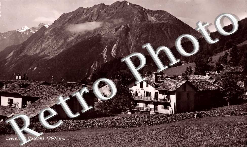 Levron et Catogne