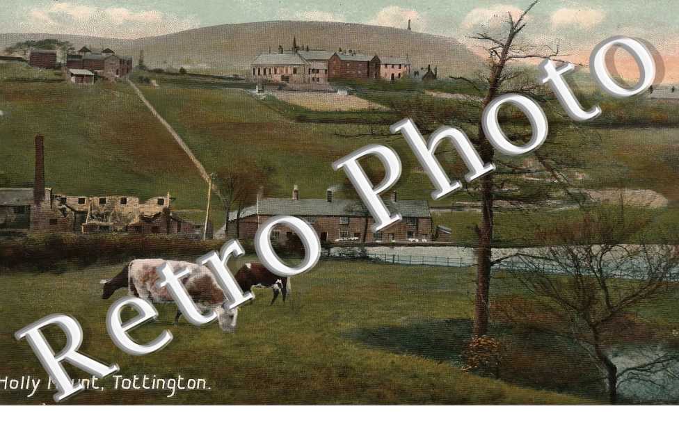 Holly Mount