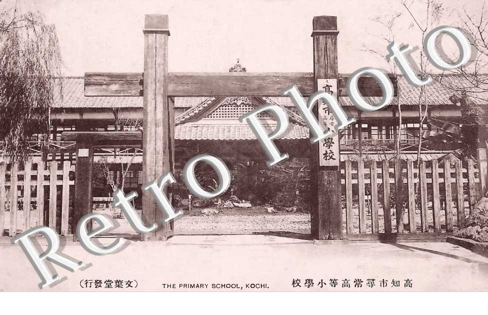 The Primary School