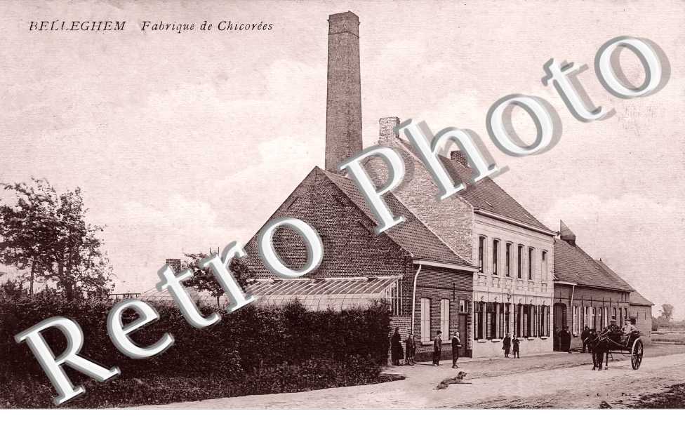 Belleghem. Fabrique de chicorées