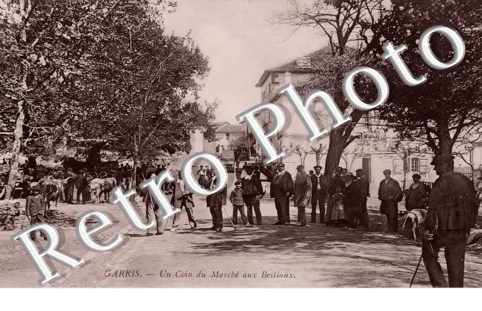 un coin du Marché aux bestiaux
