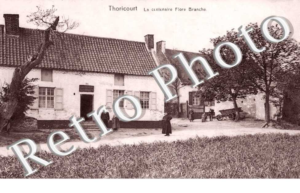 THORICOURT la centenaire Flore Branche