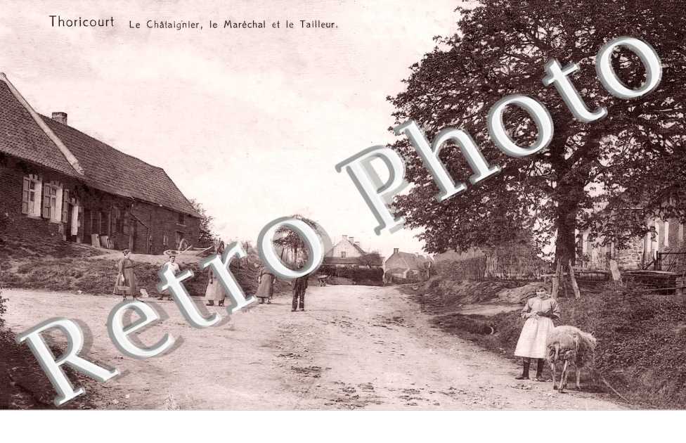 THORICOURT. Le châtaignier, le Maréchal et le Tailleur