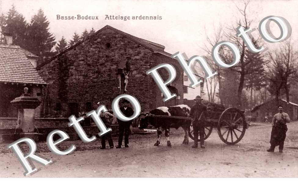 BASSE BODEUX. Attelage ardennais