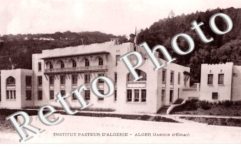 Institut Pasteur d'Algérie