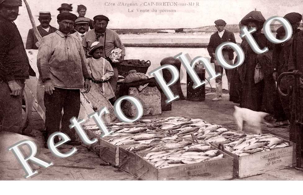 Capbreton-sur-Mer. La vente du poisson