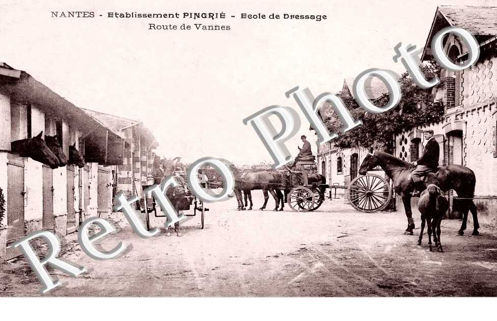 Etablissement Pingrié. Ecole de Dressage. Route de Vannes.