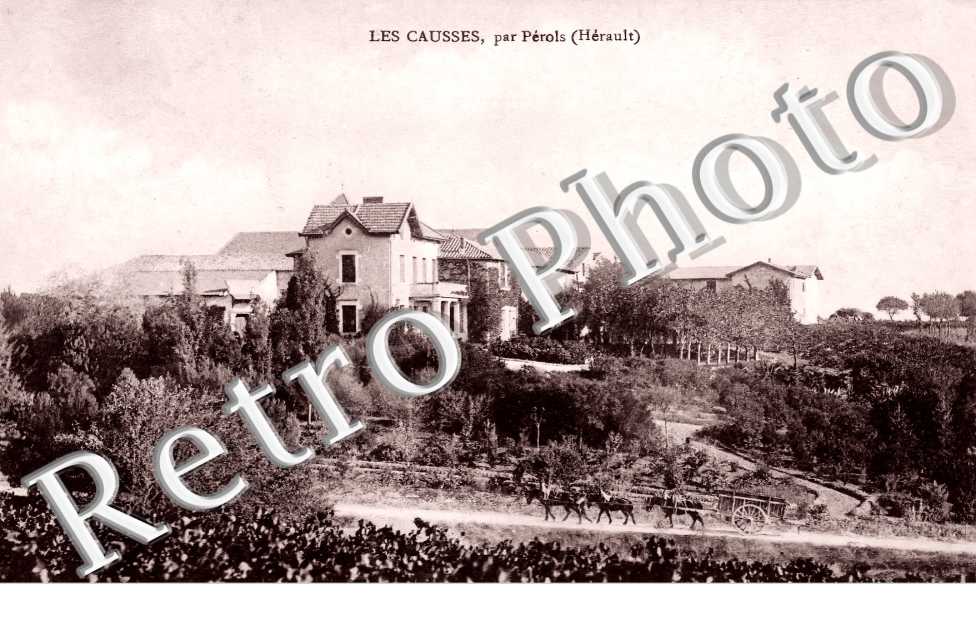 Les Causses