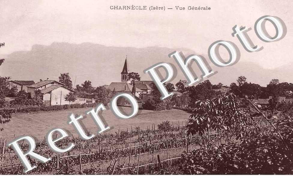 vue générale