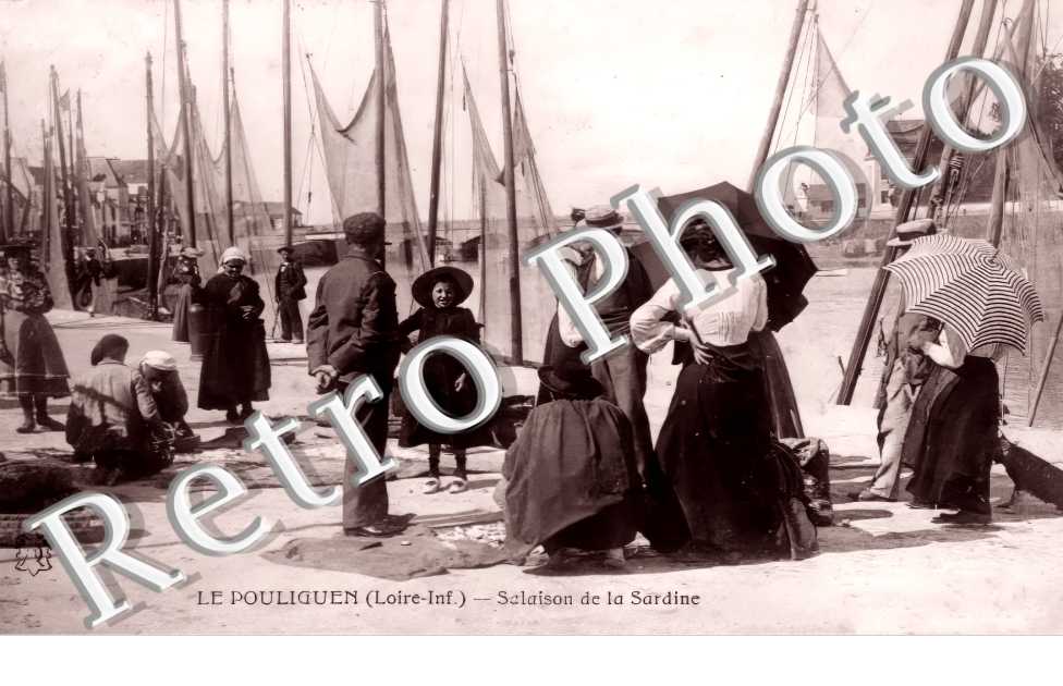 Salaison de la Sardine