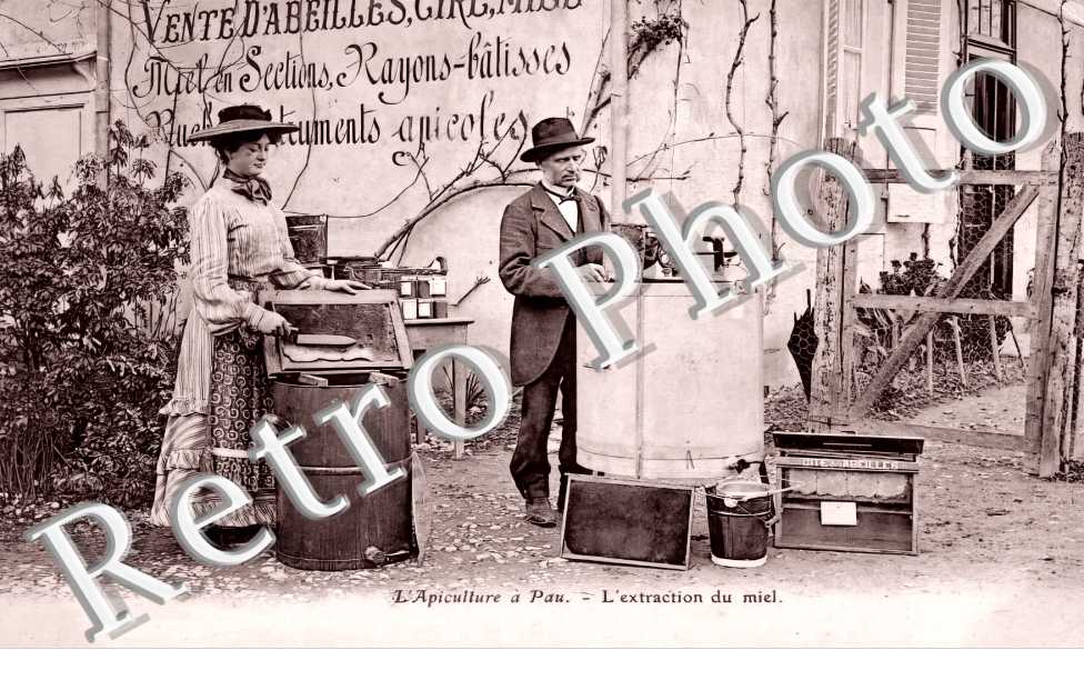 L'apiculture à Pau. L'extraction du miel.