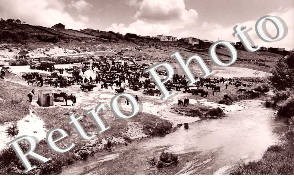 (sans légende)