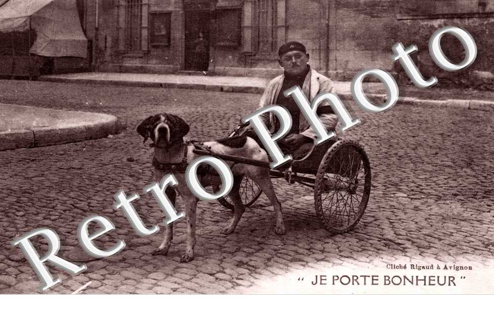 (sans légende)