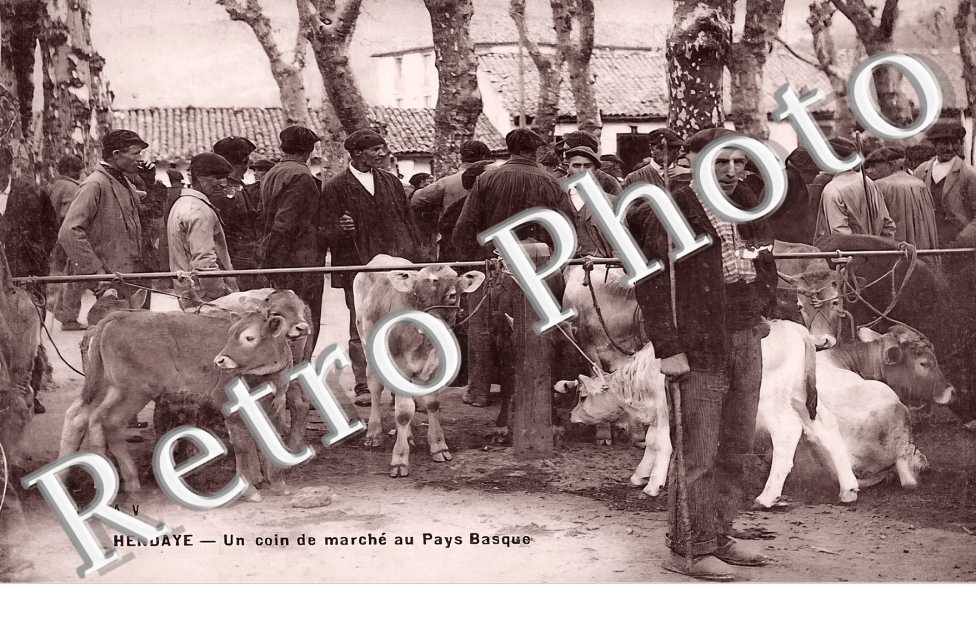 (sans légende)