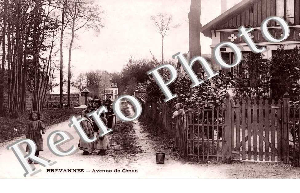 (sans légende)