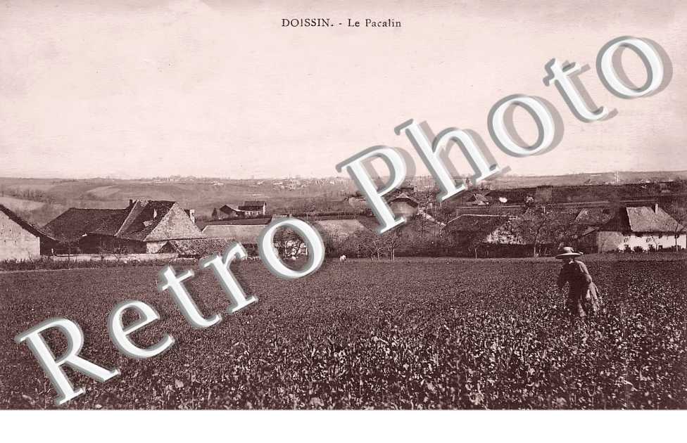 (sans légende)