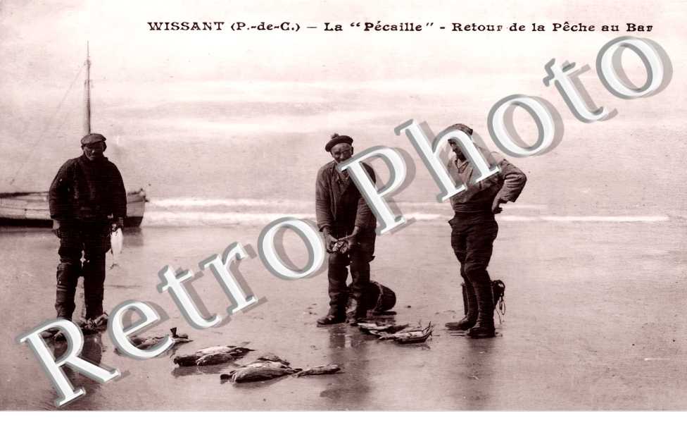(sans légende)