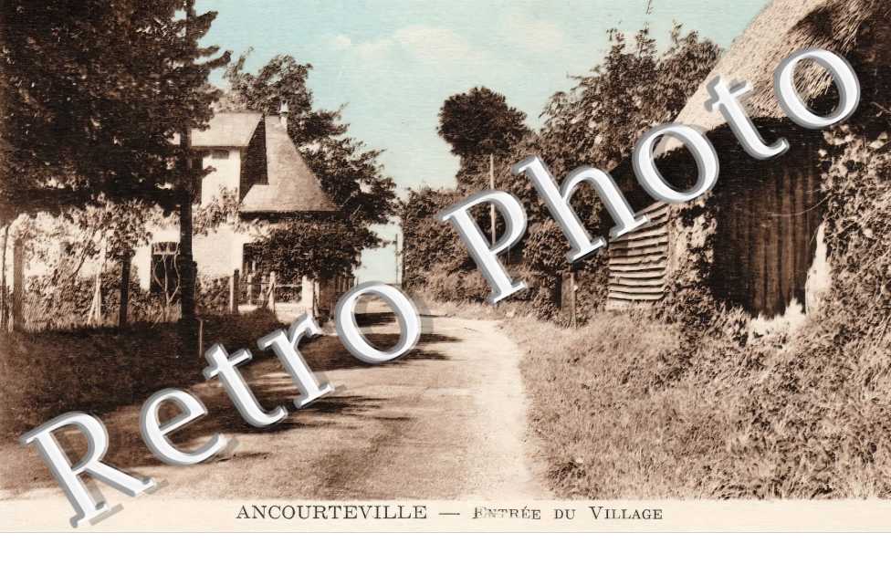 (sans légende)