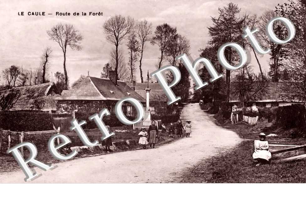 (sans légende)