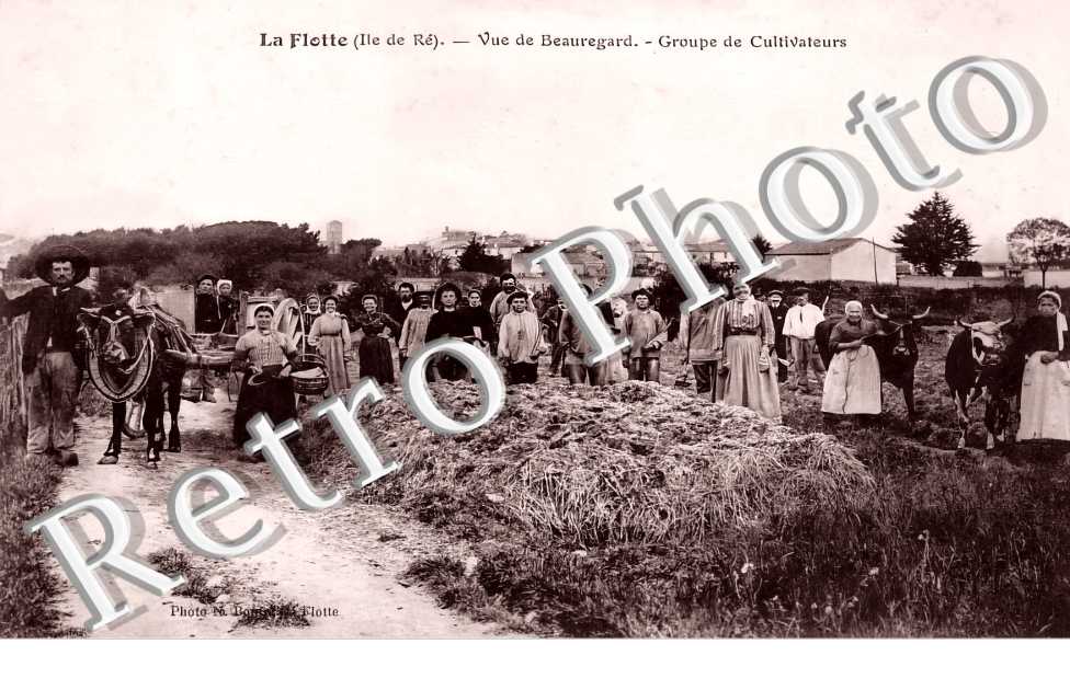 vue de Beauregard. Groupe de cultivateurs