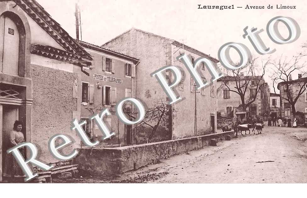 (sans légende)