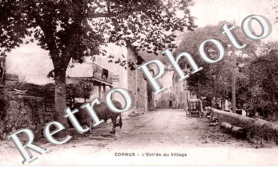 (sans légende)