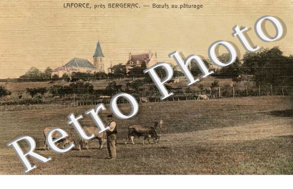 (sans légende)