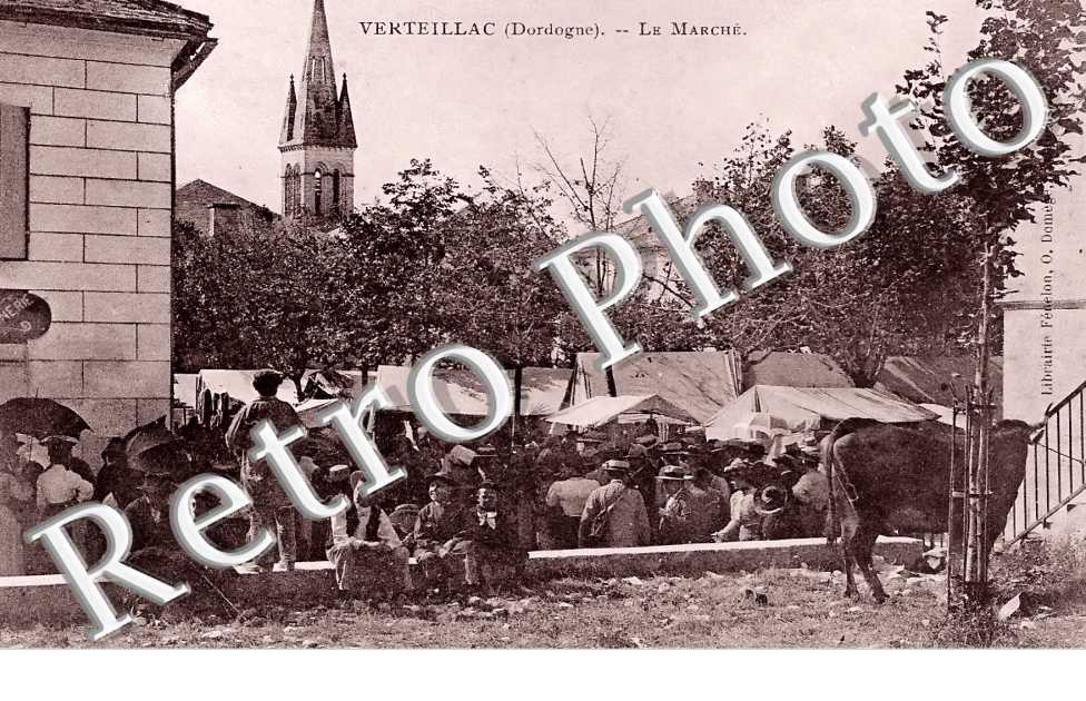 (sans légende)