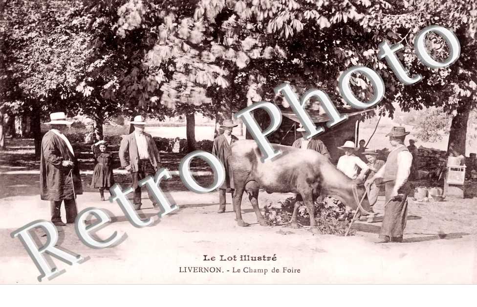 (sans légende)