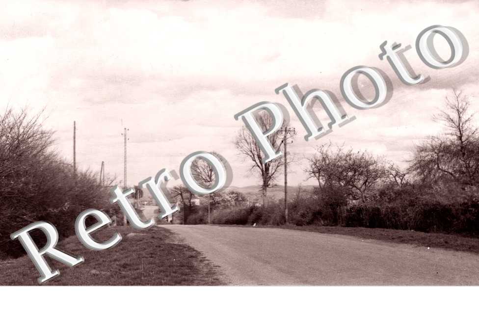 (sans légende)