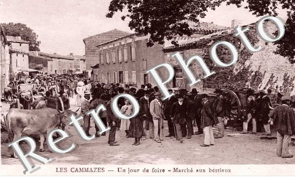 (sans légende)