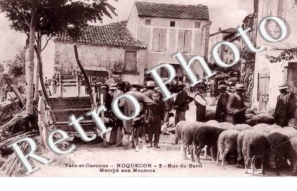 (sans légende)