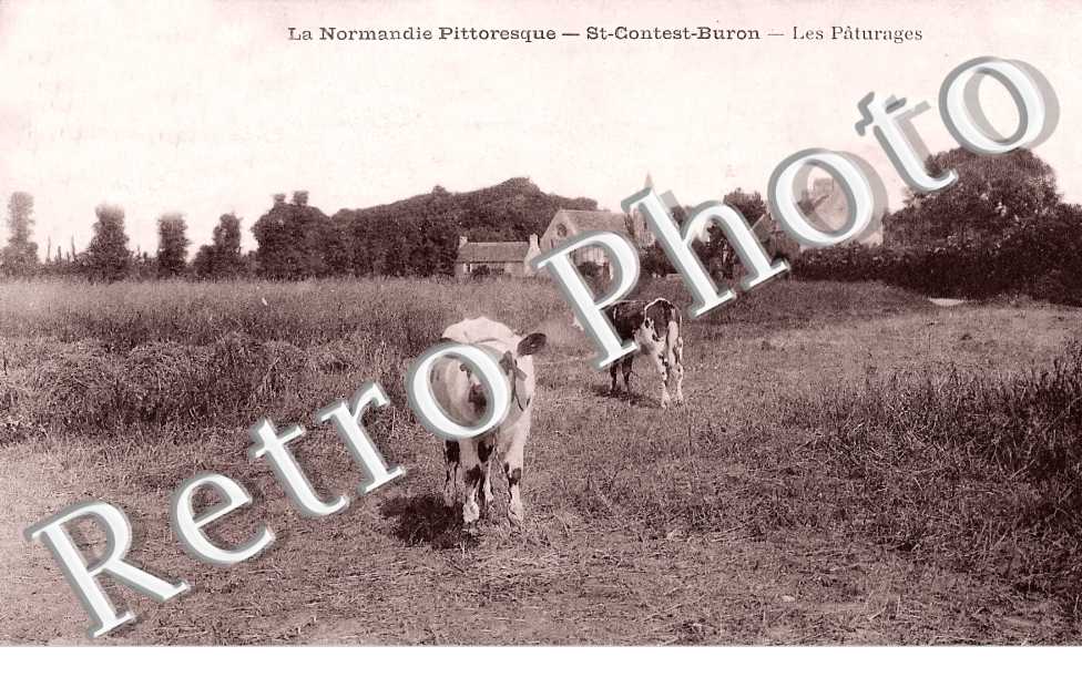 (sans légende)