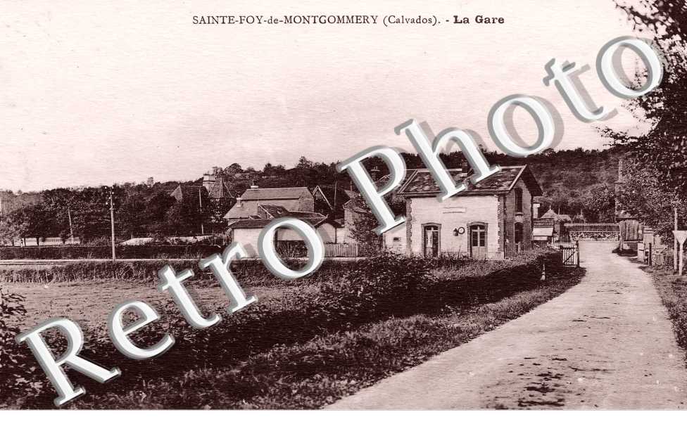 (sans légende)