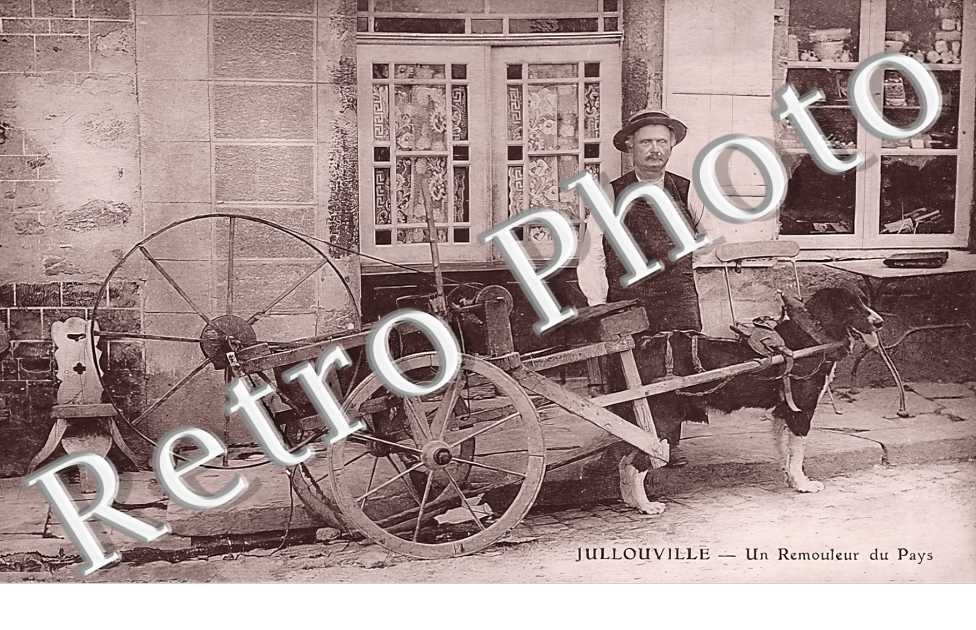 (sans légende)