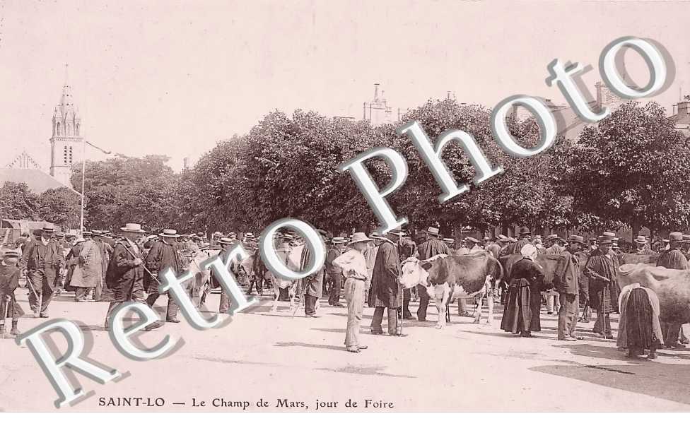 (sans légende)