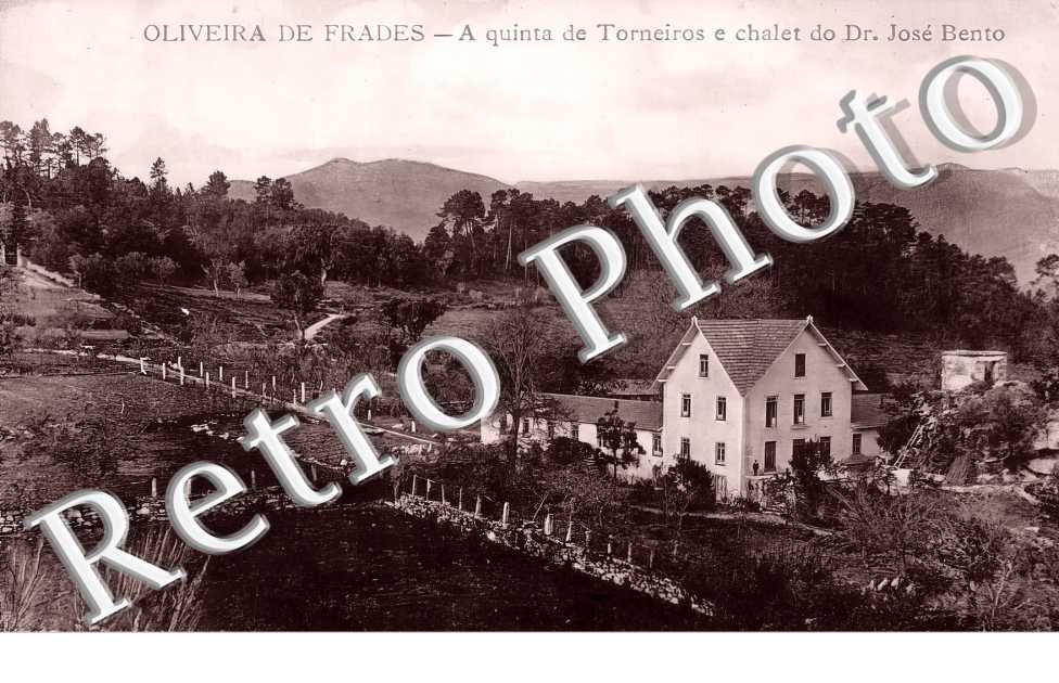 (sans légende)