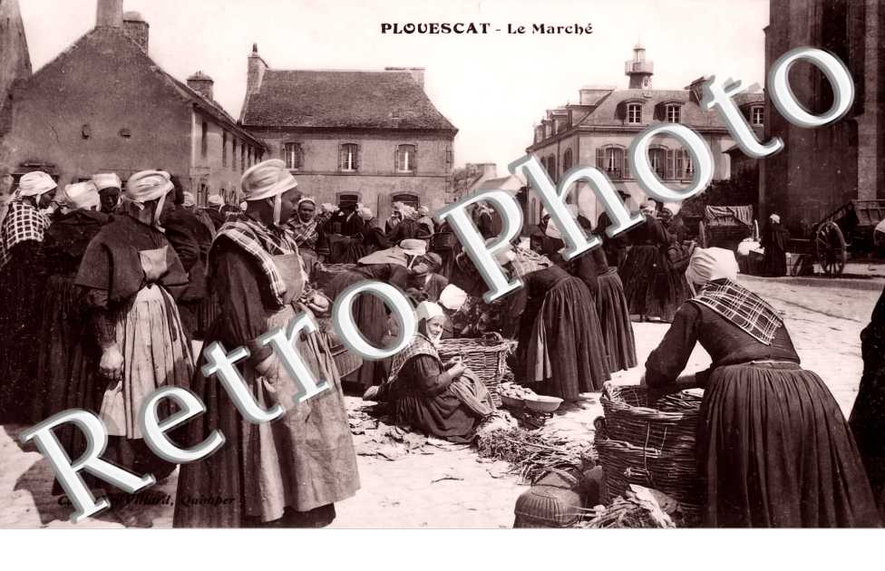 (sans légende)