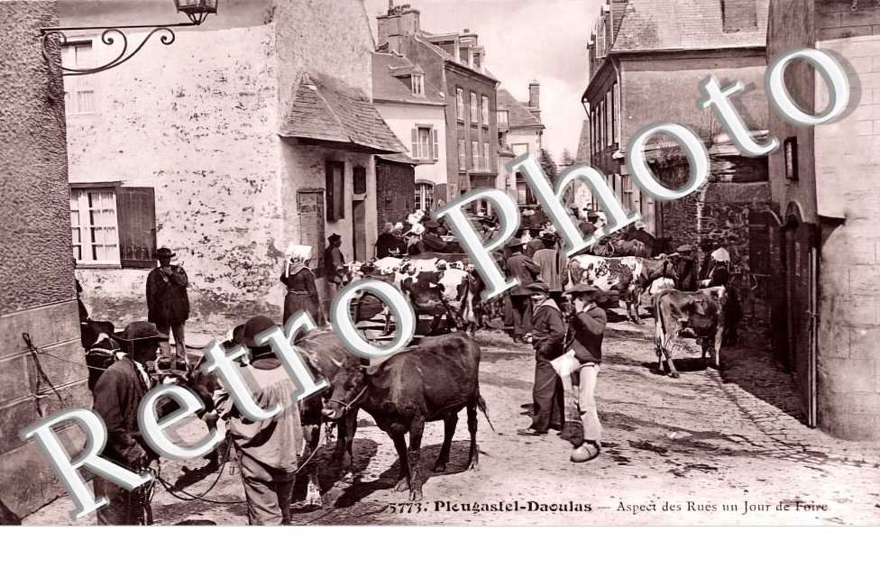 (sans légende)