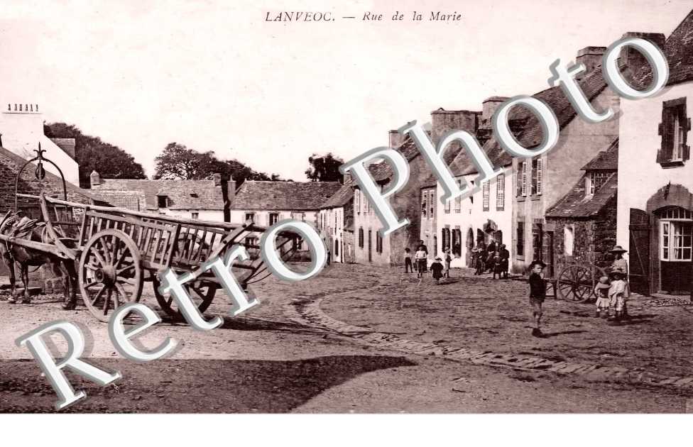 (sans légende)