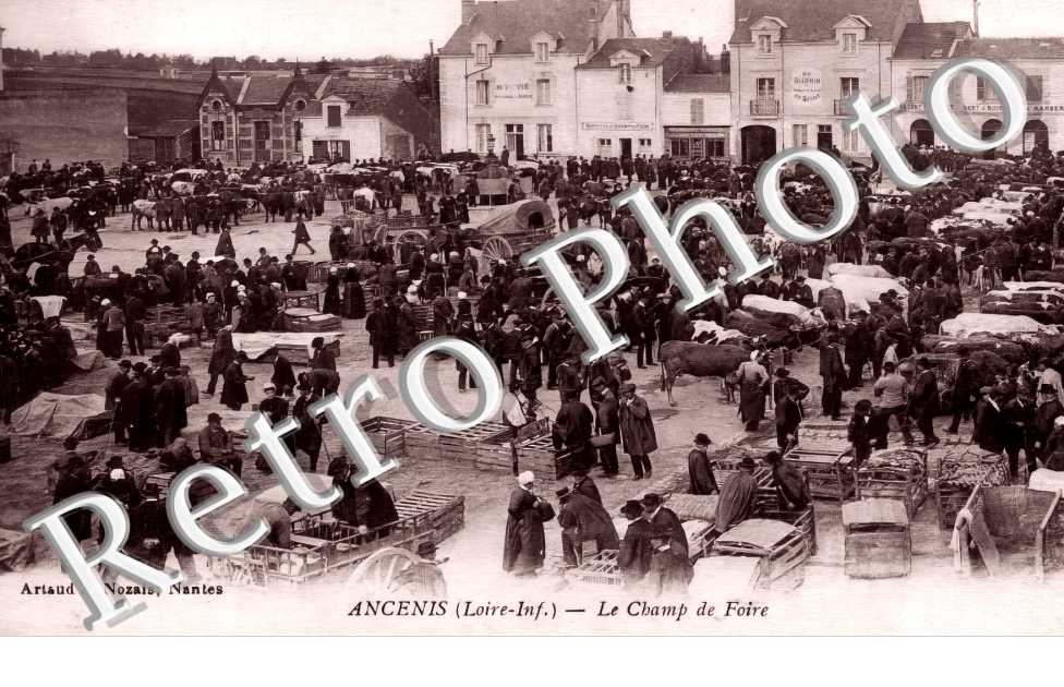 (sans légende)
