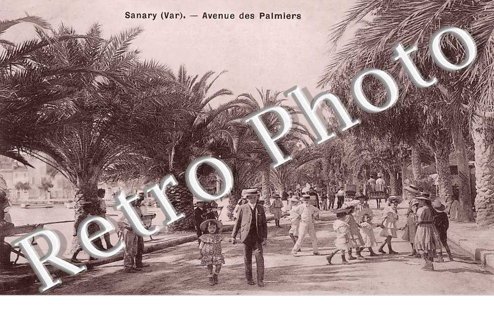 Avenue des Palmiers