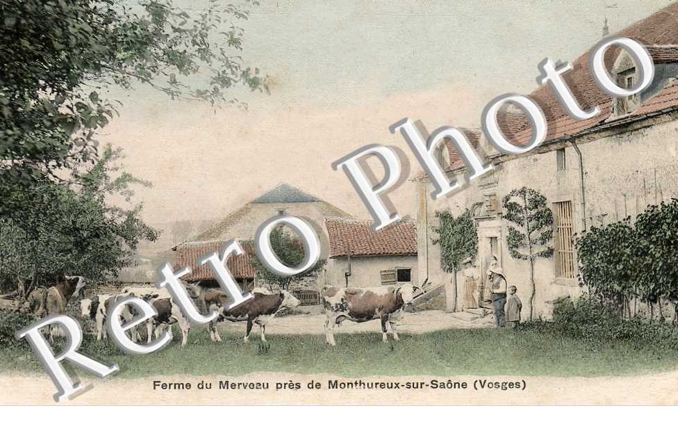 (sans légende)