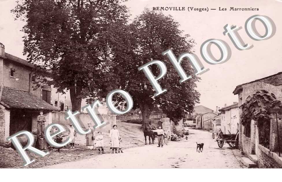 (sans légende)