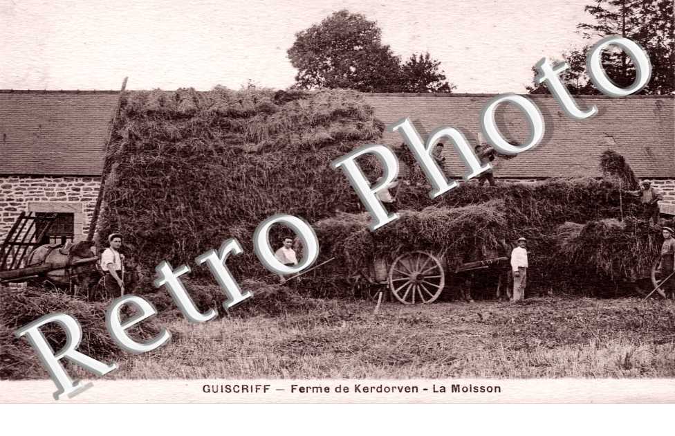 (sans légende)