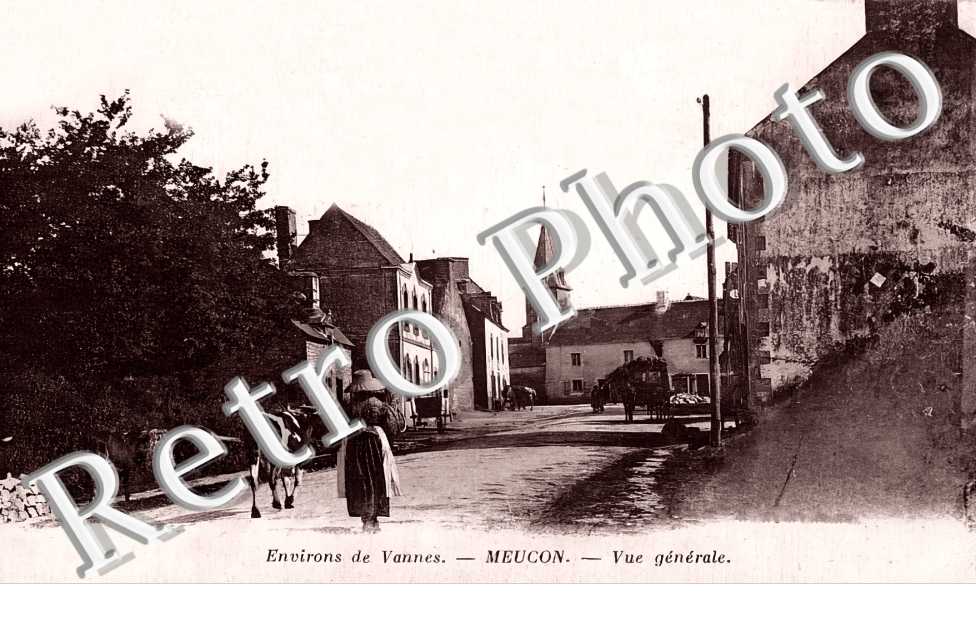 (sans légende)